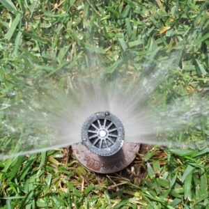 Versenkregner druckreguliert 30 PSI kompatibel Düsen