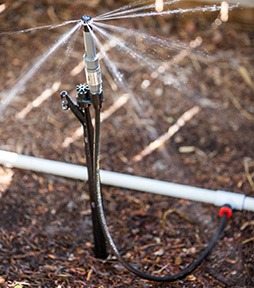 Temporäres Bewässerungs-Stake Kit mit Anschluss für Sprühdüsen